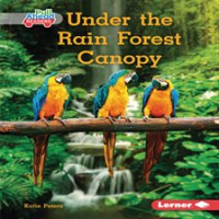 Under_the_rain_forest_canopy